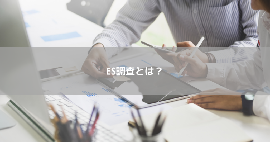 ES調査とは？